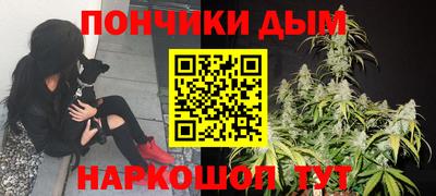 молекула духа Пугачёв
