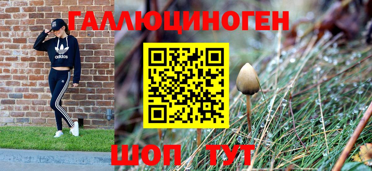 Галлюциногенные грибы Psilocybine cubensis  Вход с VPN  сколько стоит  Советск 