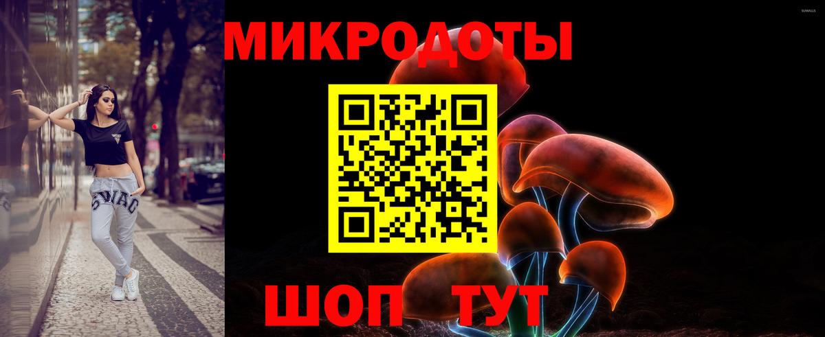 Псилоцибиновые грибы прущие грибы Советск